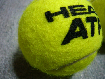 テニスボール比較　ATPとチャンピオンシップ2