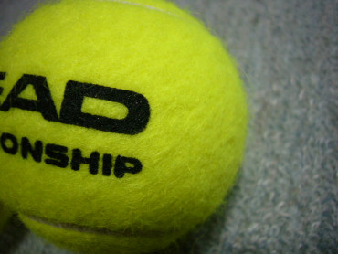 テニスボール比較　ATPとチャンピオンシップ3
