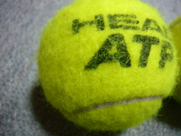 テニスボール比較　ATPとチャンピオンシップ5