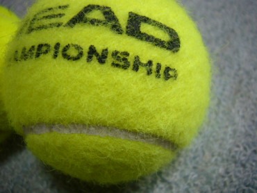 テニスボール比較　ATPとチャンピオンシップ6
