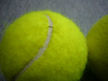 テニスボール比較　ATPとチャンピオンシップ8
